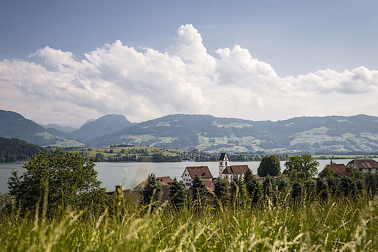 Vue de Bollingen au bord du haut-lac (St-Gall, Suisse)
