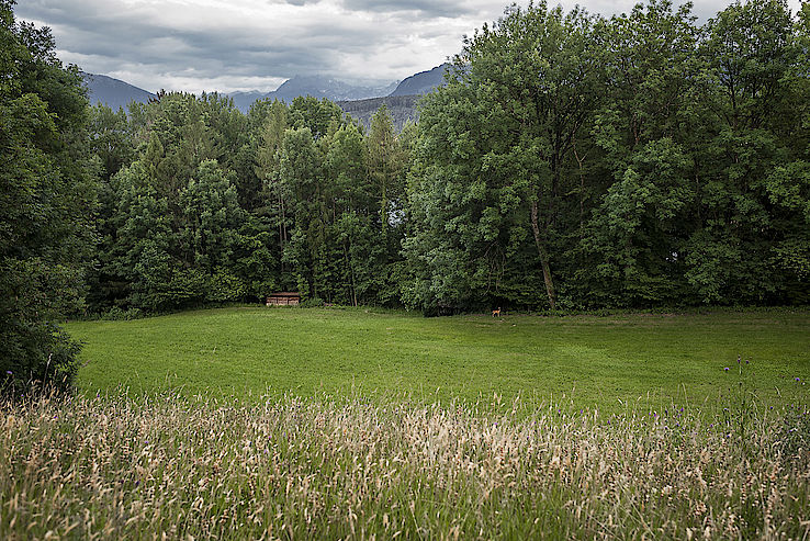 Vue depuis la Tour à Bollingen