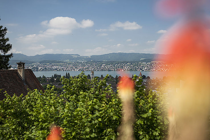 View from her house in Küsnacht